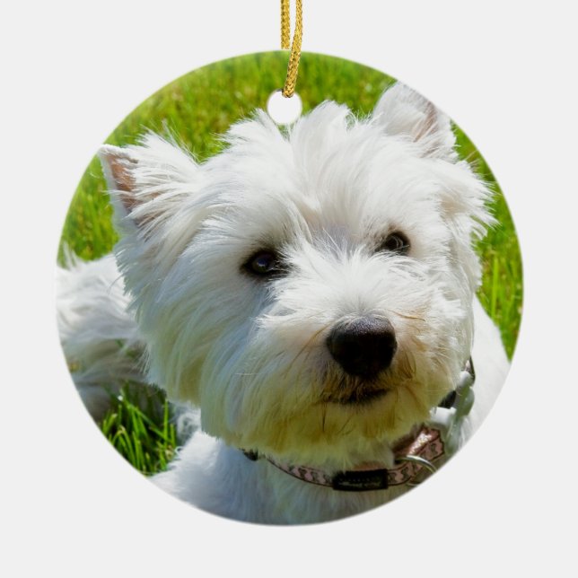 Ornamento De Cerâmica Abelha (Frente)