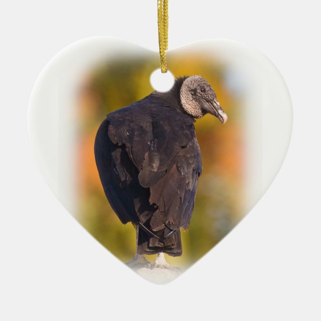 Ornamento De Cerâmica Abutre preto colorido (Frente)