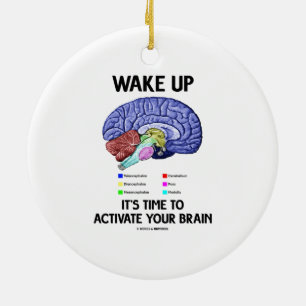 Ornamento De Cerâmica Acorde-o é hora de ativar seu cérebro (o humor)