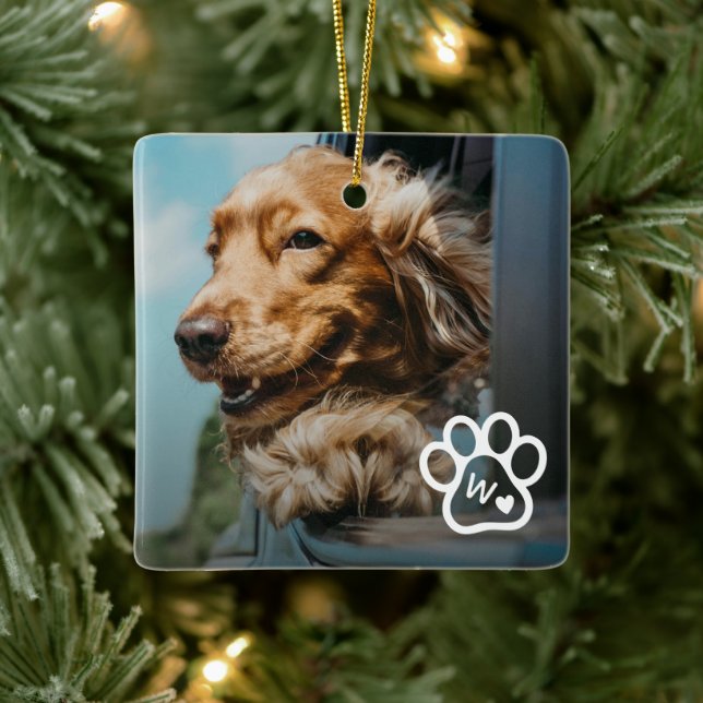 Ornamento De Cerâmica Add Your Own Photo Dog Pets Monogram (Árvore)