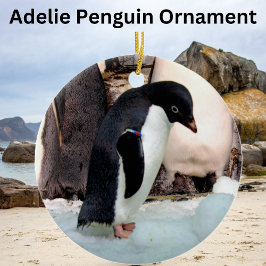 Ornamento De Cerâmica Adelie Penguin