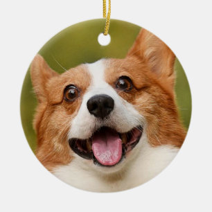 Ornamento De Cerâmica Adicionar Foto de Cão Personalizada Personalizada