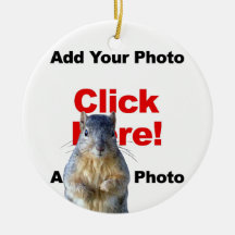 Adicionar um esquilo personalizado Photobomb Adici