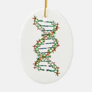 Ornamento De Cerâmica ADN - ciência/cientista/biologia