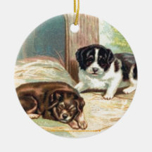 "Adorável Puppy Ornament"