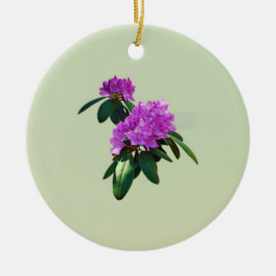 Ornamento De Cerâmica Adorável Rhododendrons Rosa