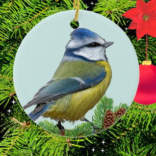 Ornamento De Cerâmica Adorno de Foto de Pássaro Azul Amarelo Fofo Person