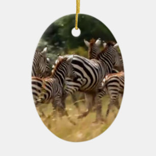 Ornamento De Cerâmica African Kenya Safari Mara Zebra legal correndo