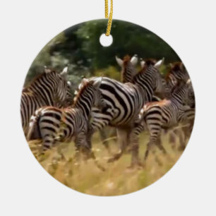 Ornamento De Cerâmica African Kenya Safari Mara Zebra legal correndo