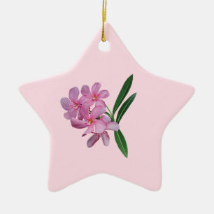 Ornamento De Cerâmica Aglomerado de Orquídeas Rosa
