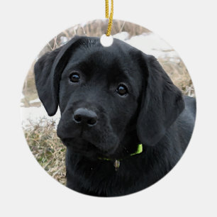 Ornamento De Cerâmica Aguardando Primavera - Labrador Puppy - Preto Lab