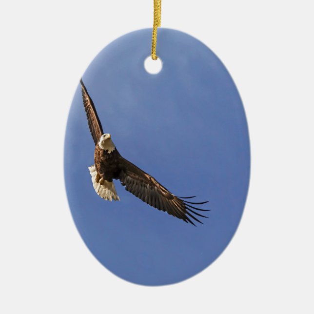 Ornamento De Cerâmica Águia Bald Soaring (Frente)