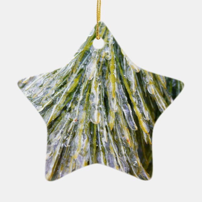 Ornamento De Cerâmica Agulhas De Pinheiro Revestido De Gelo Botânica De  (Frente)