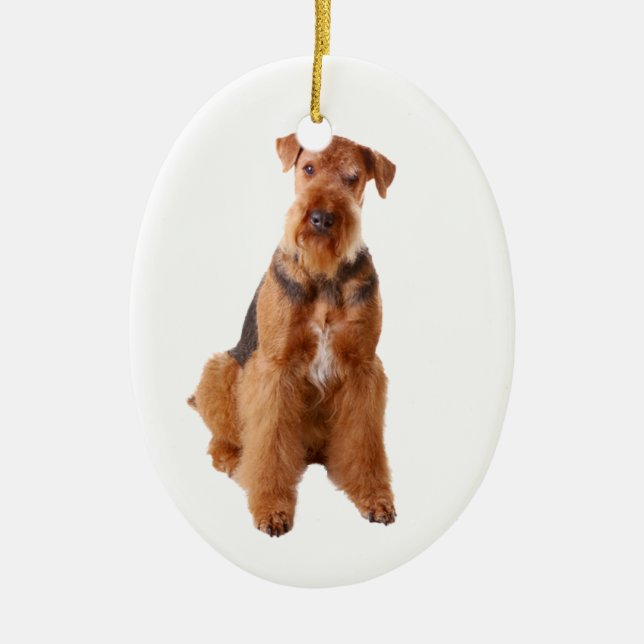 Ornamento De Cerâmica Airedale Terrier Ornament (Frente)