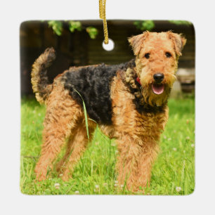 Ornamento De Cerâmica Airedale Terrier Puppy Dog