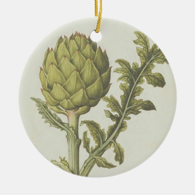 Ornamento De Cerâmica Alcachofra: Scolymus do Cynara, c.1568 (Frente)