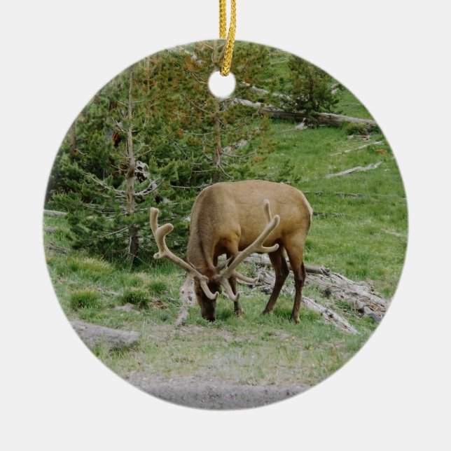 Ornamento De Cerâmica Alces com Antlers de veludo (Frente)