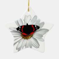 Almirante vermelho borboleta na flor