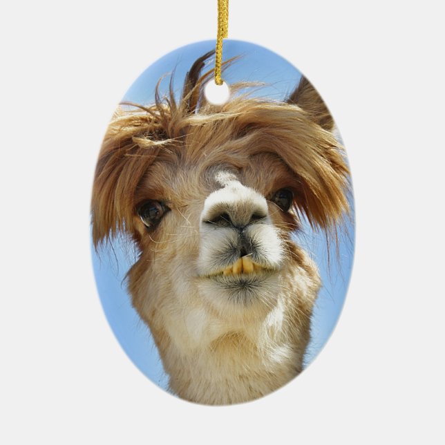 Ornamento De Cerâmica Alpaca com cabelo louco (Frente)