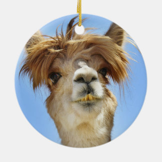 Ornamento De Cerâmica Alpaca louca do cabelo