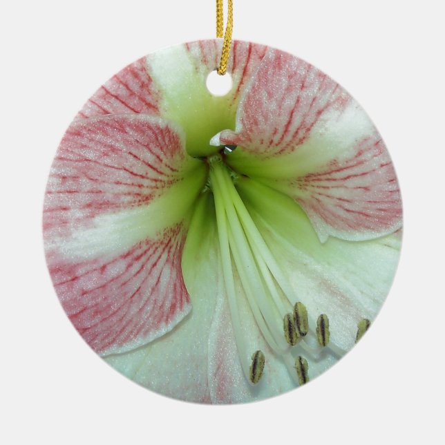 Ornamento De Cerâmica Amarílis aberta Flor de Maçã (Frente)