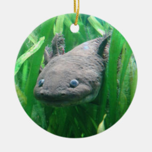Ornamento De Cerâmica Ambystoma andersoni