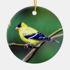 Ornamento De Cerâmica American Goldfinch Ornament