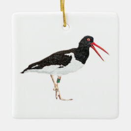 Ornamento De Cerâmica American Oystercatcher