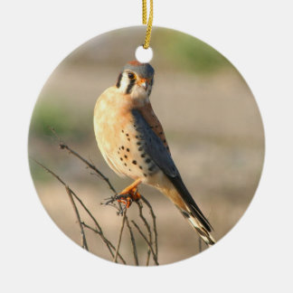 Ornamento De Cerâmica Americano Kestel