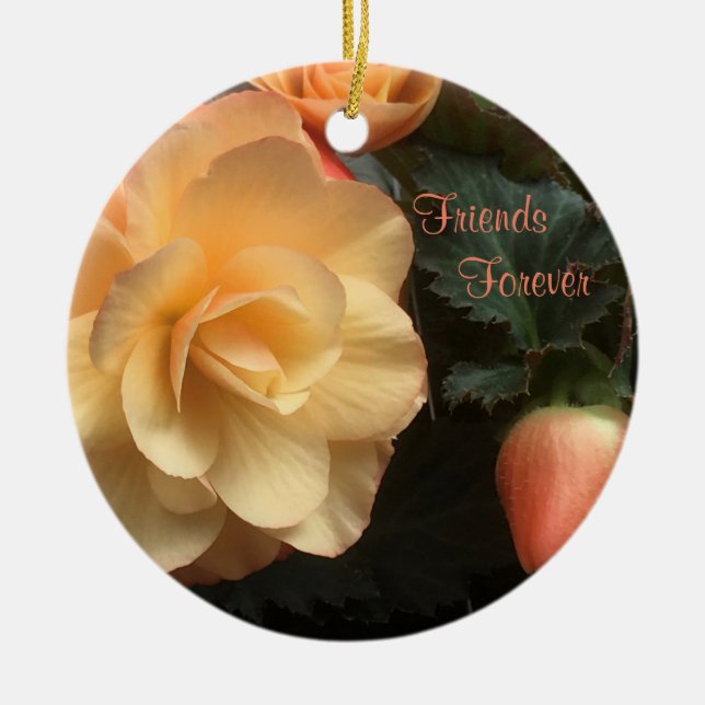 Ornamento De Cerâmica Amigos para sempre (Frente)