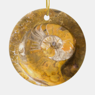 Ornamento De Cerâmica Ammonite Fossil Rock Nature Fotografia Cerâmica Ou