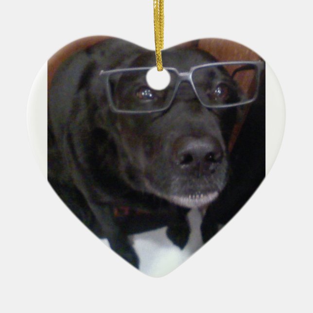 Ornamento De Cerâmica Amor de filhote de cachorro (Frente)