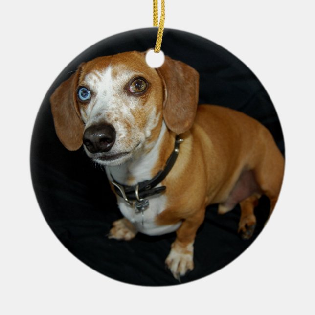 Ornamento De Cerâmica Amor do Dachshund (Frente)