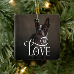 Ornamento De Cerâmica Amor Moderno Pets Cachorros Personalizados Foto Mo