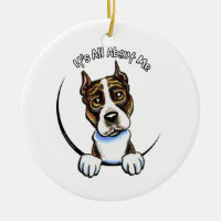 AmStaff Brindle IAAM