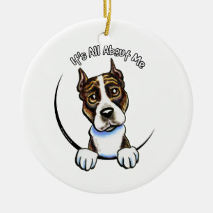 Ornamento De Cerâmica AmStaff IAAM rajado