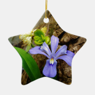 Ornamento De Cerâmica Anã-Caverna-Iris, flor branca púrpura azul-púrpura