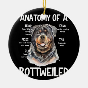 Ornamento De Cerâmica Anatomia De Rottweiler Para Cachorros