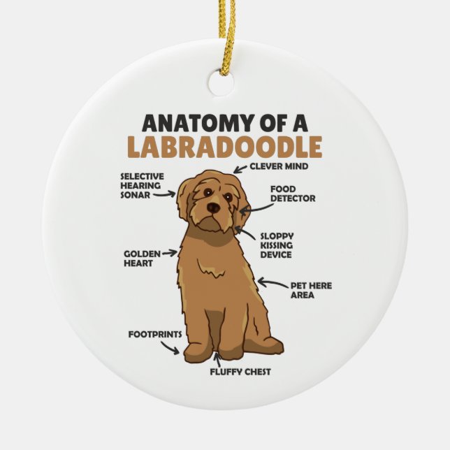 Ornamento De Cerâmica Anatomia De Um Labradoodle Cute Canine Puppy (Frente)