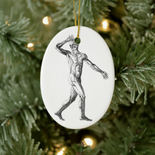 Ornamento De Cerâmica Anatomia Humana Vintage, Músculos do Corpo Masculi
