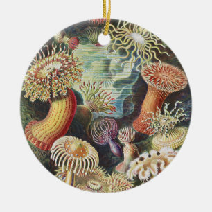 Ornamento De Cerâmica Anêmonas-do-mar de Haeckel Colagem de arte náutica