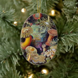 Ornamento De Cerâmica Anêmonas-do-mar Vintage por Ernst Haeckel