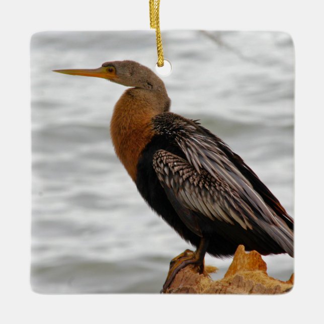 Ornamento De Cerâmica Anhinga de Vigília (Frente)