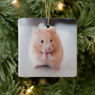 Ornamento De Cerâmica Animais de amores de hamster