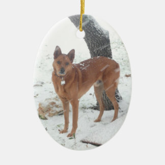 Ornamento De Cerâmica Animal de estimação da coleção do Natal ou foto de