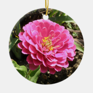 Ornamento De Cerâmica Aniversário Personalizado da Zinnia Rosa