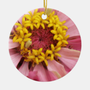 Ornamento De Cerâmica Aniversário Personalizado da Zinnia Rosa bonito