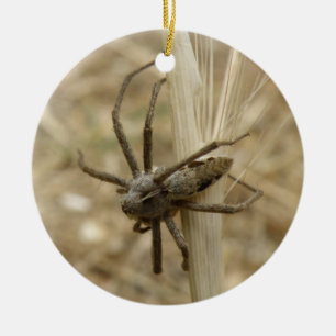 Ornamento De Cerâmica Aniversário Personalizado De Aranha Rasteza
