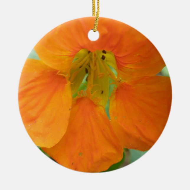 Ornamento De Cerâmica Aniversário Personalizado de Nasturtium Laranja bo (Frente)