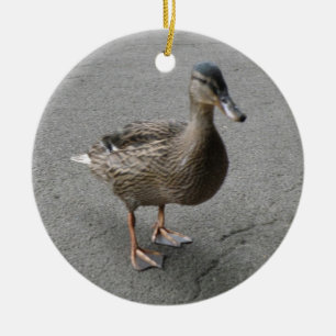 Ornamento De Cerâmica Aniversário Personalizado do Pato Rajado Engraça